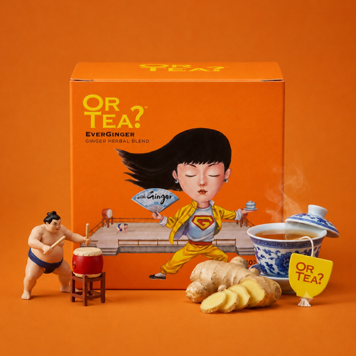 [11-EGSB] EverGinger | 10-Sachet Box